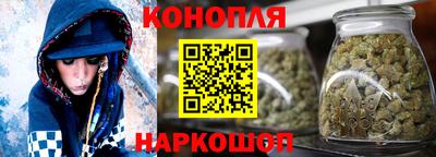 spice Новозыбков