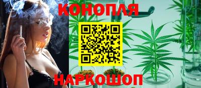spice Новозыбков