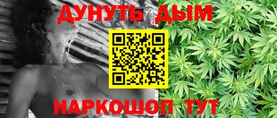 спиды Новодвинск