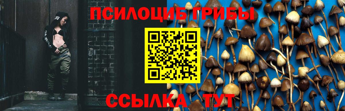 Сызрань  Псилоцибиновые грибы Psilocybine cubensis  сколько стоит  Вход с VPN 